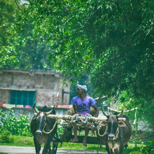 Photo #5554528