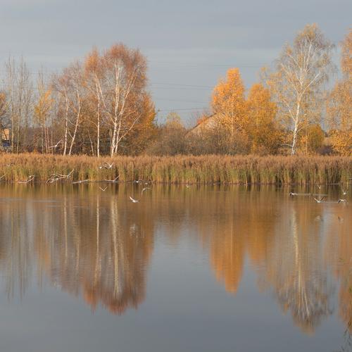 Photo #5554631