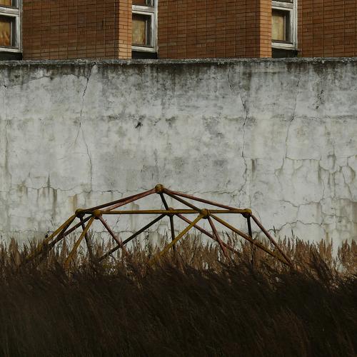 Photo #5554825