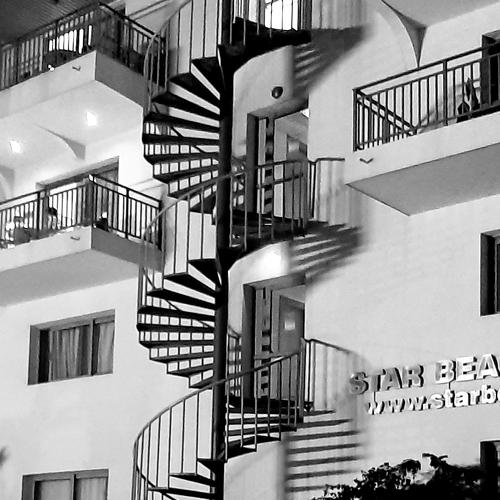 Photo #5554827