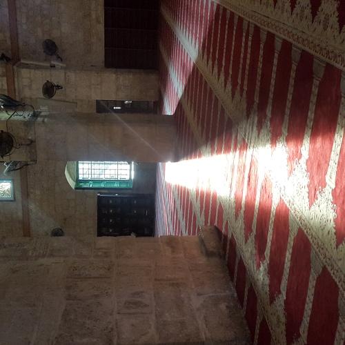 Photo #5554839