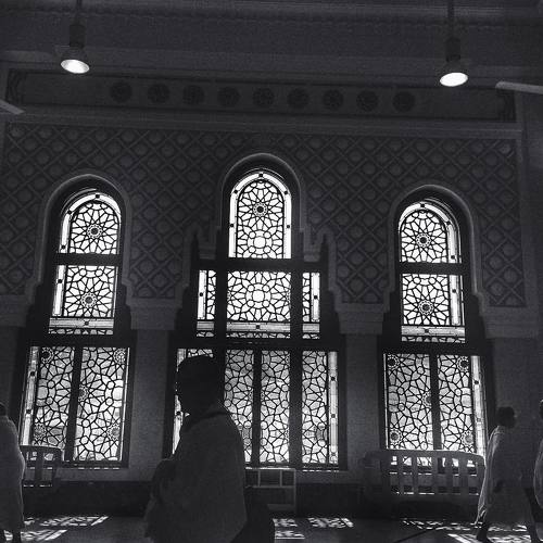 Photo #5554898