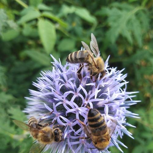 Photo #5555055