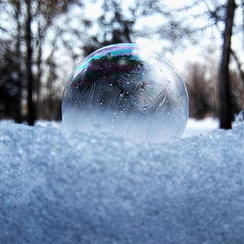 Photo #5555111