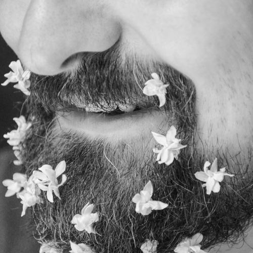 Photo #5555114