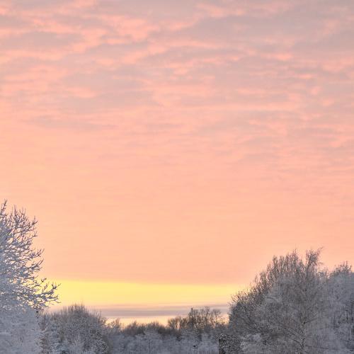 Photo #5555510