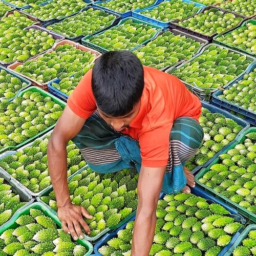 Photo #5555573
