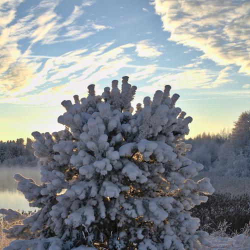 Photo #5555617