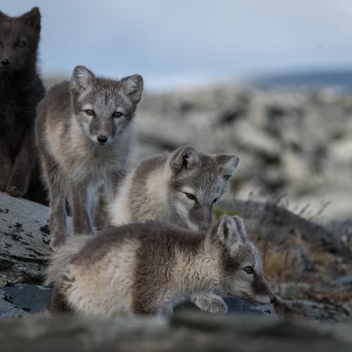 Photo #5555777