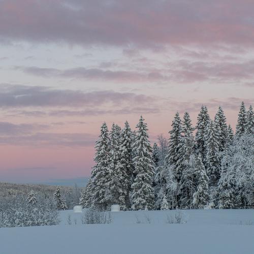 Photo #5555827