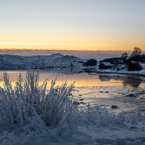 Photo #5555828