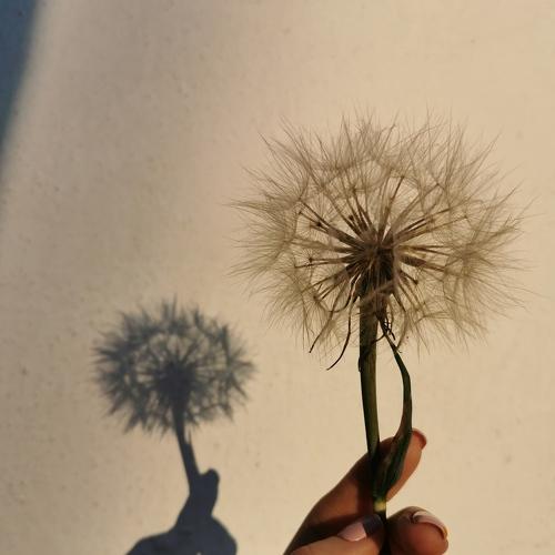 Photo #5556088