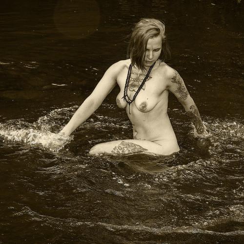 Photo #5556137