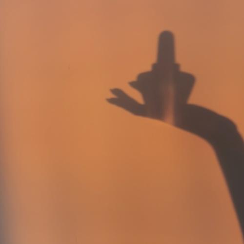 Photo #5556141