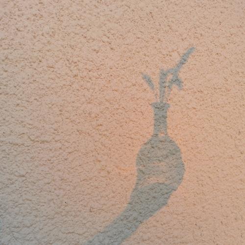 Photo #5556165