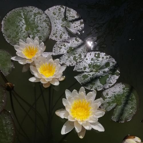 Photo #5556383