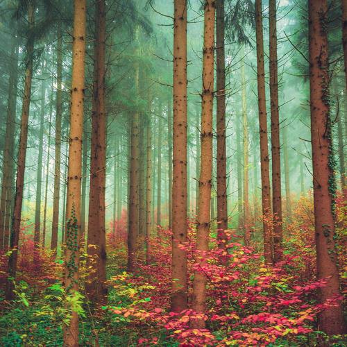 Photo #5557429