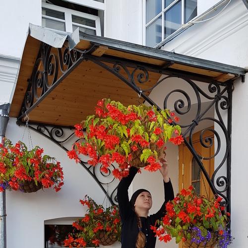 Photo #5557755