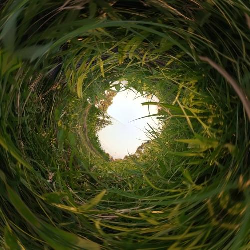 Photo #5557966