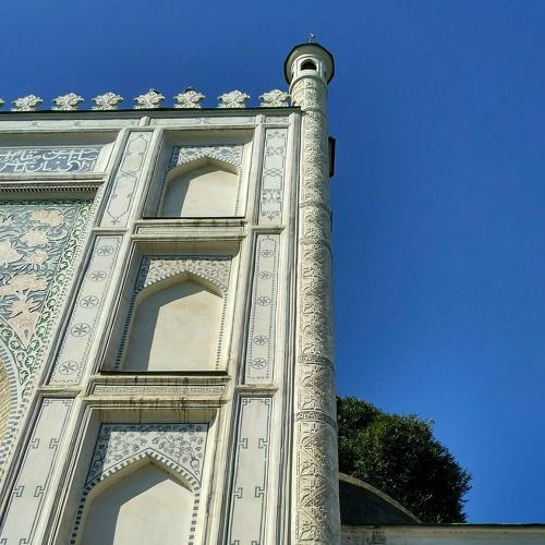 Photo #5558224