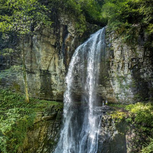 Photo #5558237