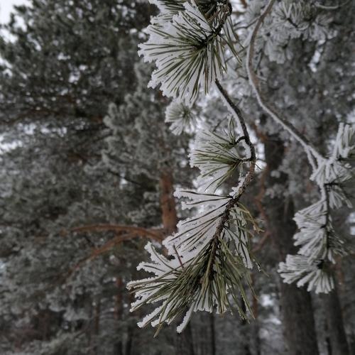 Photo #5558241