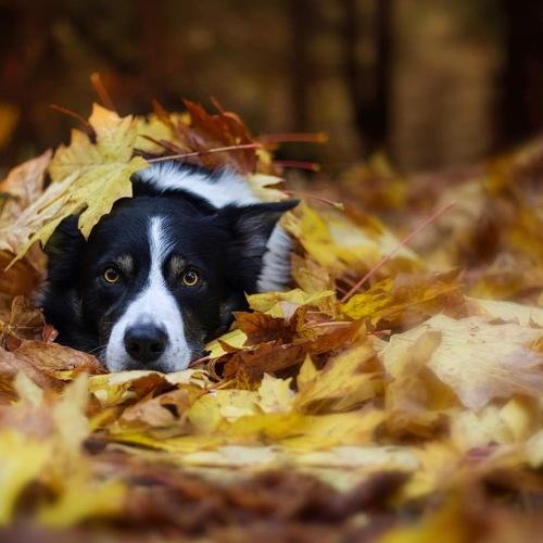 Photo #5558468