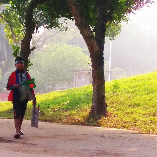 A young flag seller