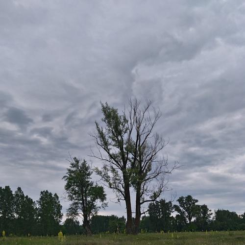 Photo #5558698