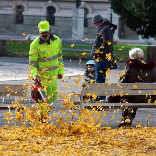 Photo #5558720