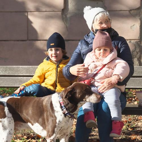Photo #5558726