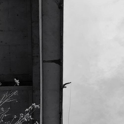 Photo #5558743