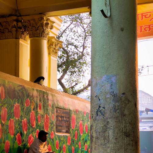 Photo #5558812
