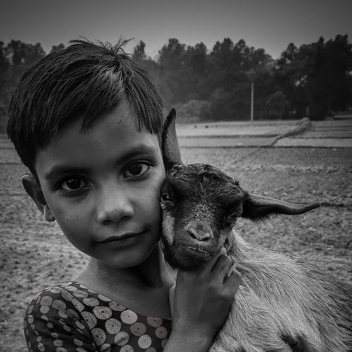 Innocence