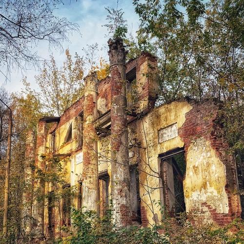 Photo #5559305