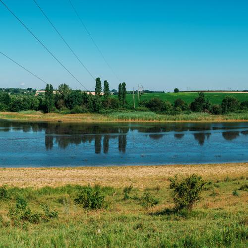 Photo #5559500