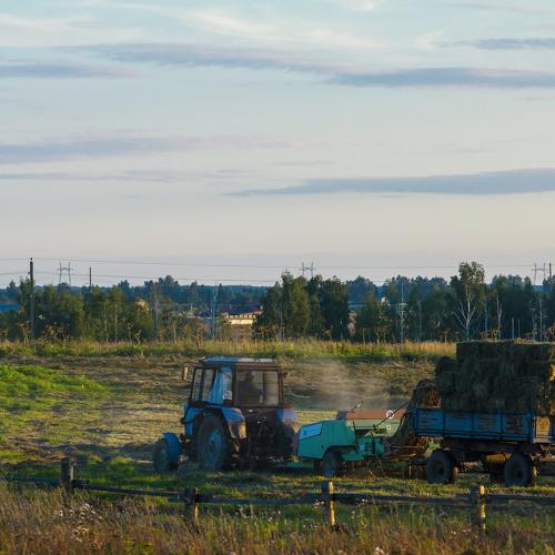 Вечер в Клементьево. Околица.