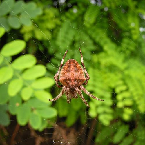 Photo #5559996