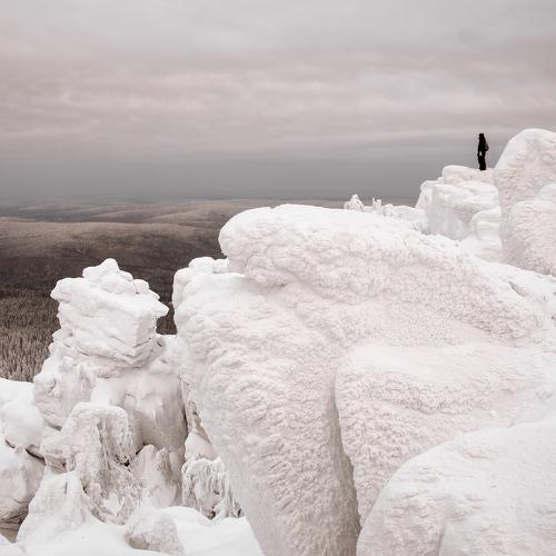Photo #5560095