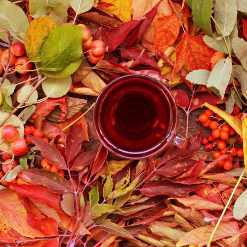 Photo #5560170