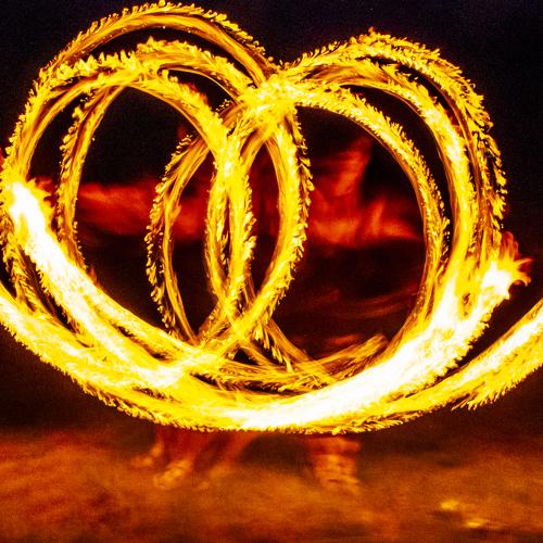 Photo #5560279