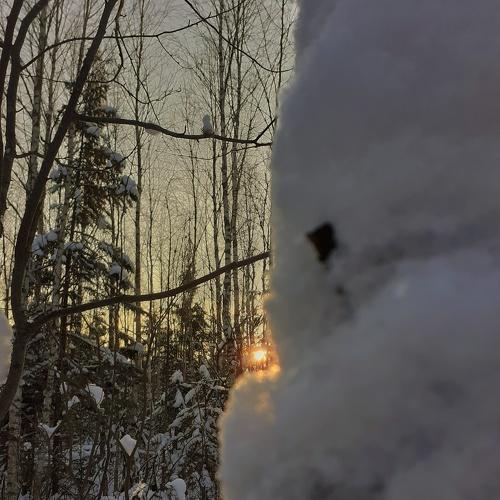 Photo #5560392