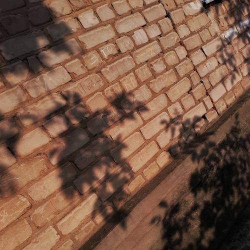 Photo #5560425
