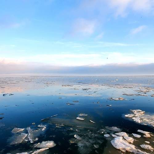 Photo #5560660