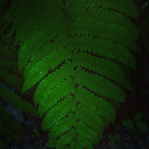 Photo #5560699