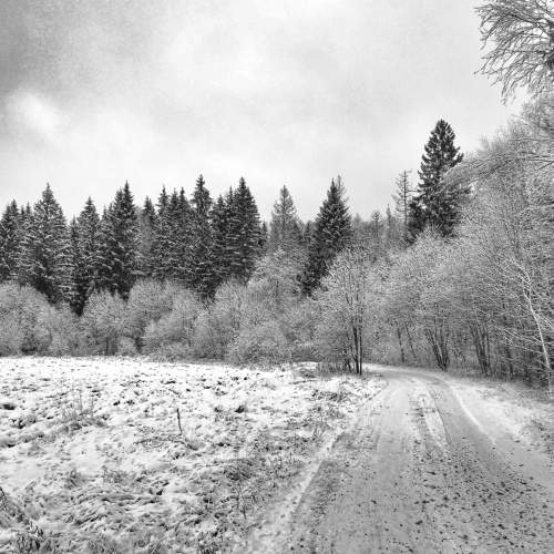 Photo #5561045