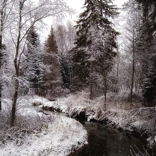 Photo #5561046