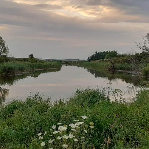 Photo #5561070