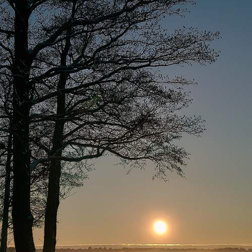 Photo #5561108