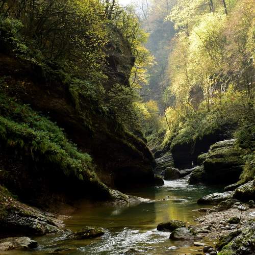 Photo #5561351